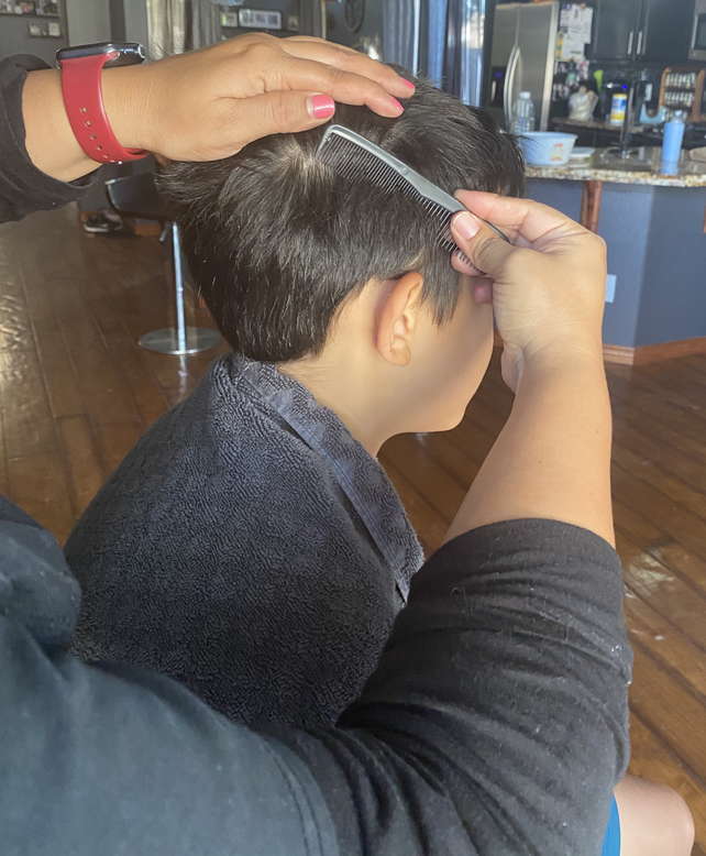 Head Lice Treatment Removal Service in Surprise, Arizona LiceDoctors